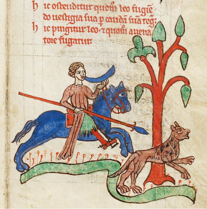 An illumination of a hunter chasing a lion in Kongelige biblioteket, GKS 3466 8°, f. 8r.