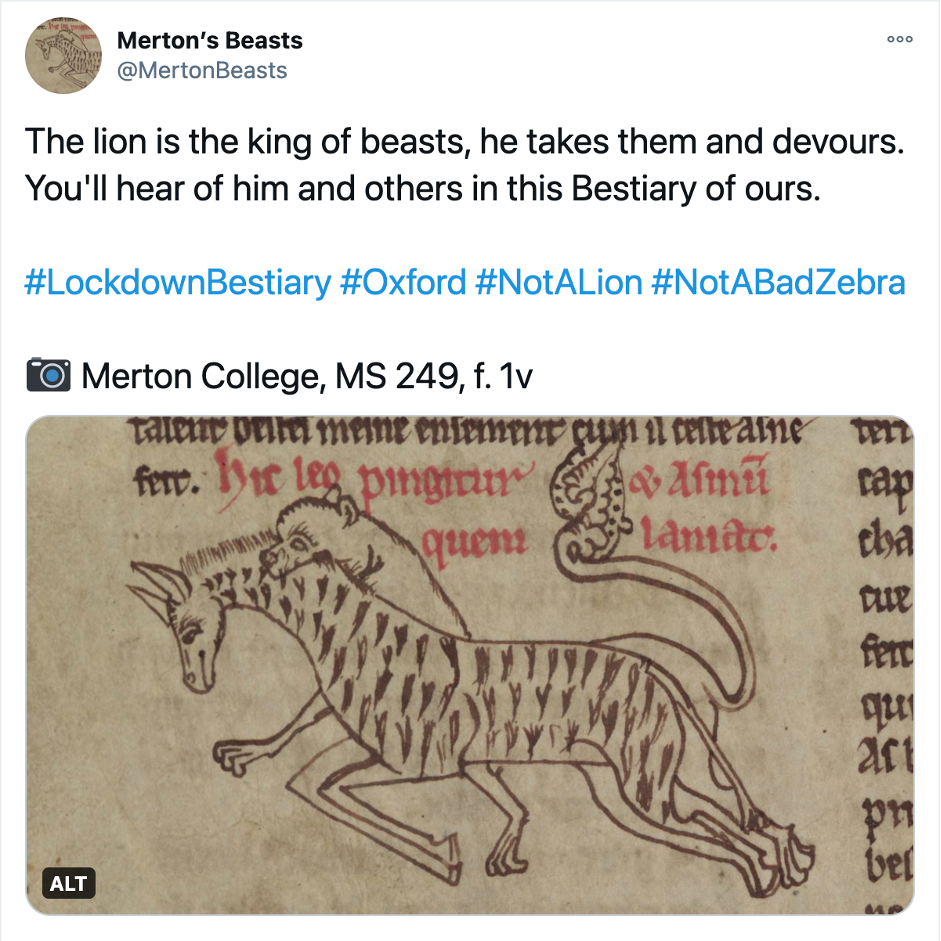 Screenshot of a tweet containing a manuscript illumination depicting a lion hunting a zebra. The following caption accompanies the image:

The lion is the king of beasts, he takes them and devours. You'll hear of him and others in this Bestiary of ours.