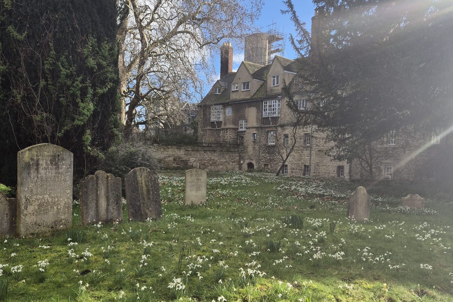 The cemetery at St. Edmund Hall, with its old gravestones and snowdrops in the early days of spring—and my first days in Oxford